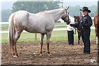 4H-Fun-Show-2005-0122.jpg