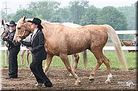 4H-Fun-Show-2005-0124.jpg