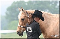 4H-Fun-Show-2005-0127.jpg