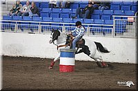 4H-State-Show-2005-0205.jpg
