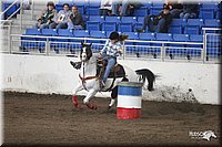 4H-State-Show-2005-0206.jpg