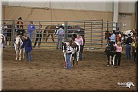 4H-State-Show-2005-0232.jpg