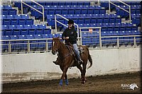 4H-State-Show-2005-0002.jpg