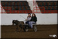 4H-State-Show-2005-0014.jpg