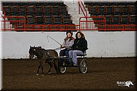 4H-State-Show-2005-0014.jpg