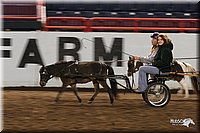 4H-State-Show-2005-0018.jpg