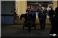 4H-State-Show-2005-0022.jpg