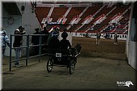 4H-State-Show-2005-0023.jpg