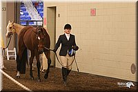 4H-State-Show-2005-1159.jpg