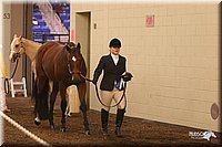 4H-State-Show-2005-1160.jpg