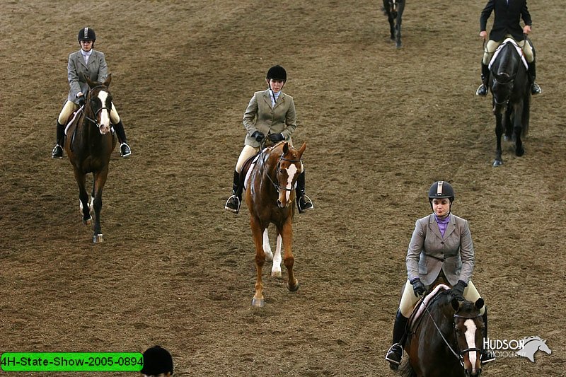 4H-State-Show-2005-0894.jpg