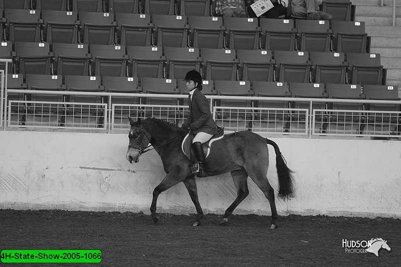 4H-State-Show-2005-1066.jpg