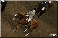 4H-State-Show-2005-0866.jpg