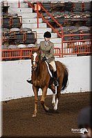 4H-State-Show-2005-0872.jpg