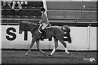 4H-State-Show-2005-0878.jpg