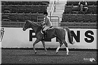 4H-State-Show-2005-0879.jpg