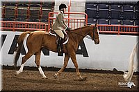 4H-State-Show-2005-0880.jpg