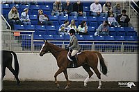 4H-State-Show-2005-0891.jpg