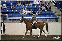 4H-State-Show-2005-0892.jpg