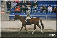 4H-State-Show-2005-0893.jpg