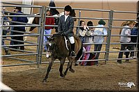 4H-State-Show-2005-1086.jpg