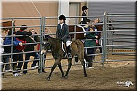 4H-State-Show-2005-1088.jpg