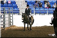 4H-State-Show-2005-1099.jpg