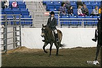 4H-State-Show-2005-1100.jpg