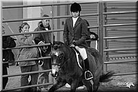 4H-State-Show-2005-1103.jpg