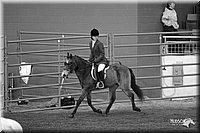 4H-State-Show-2005-1104.jpg