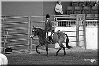 4H-State-Show-2005-1105.jpg