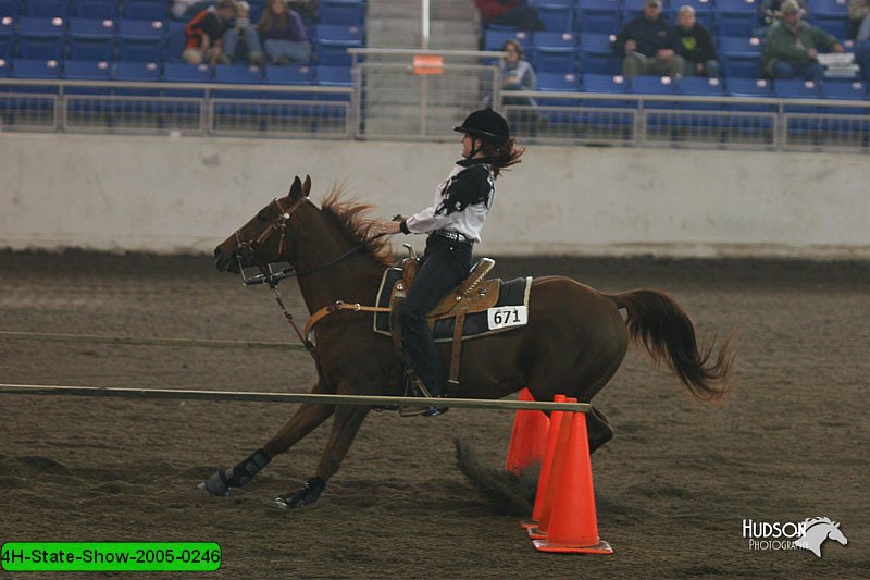 4H-State-Show-2005-0246.jpg