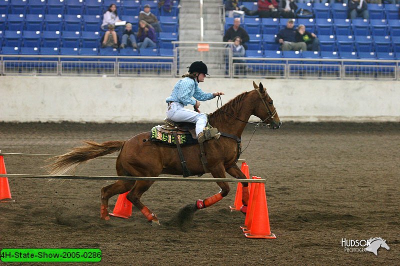 4H-State-Show-2005-0286.jpg