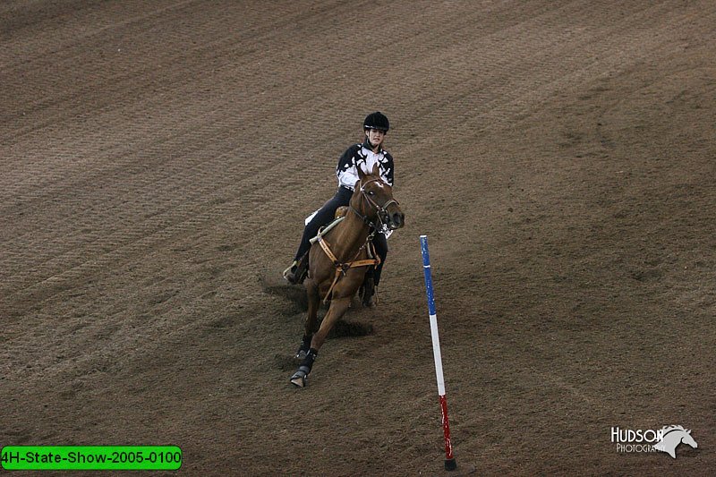 4H-State-Show-2005-0100.jpg