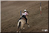 4H-State-Show-2005-0089.jpg