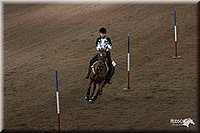 4H-State-Show-2005-0110.jpg