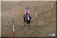 4H-State-Show-2005-0142.jpg