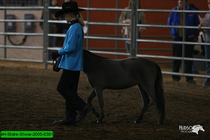 4H-State-Show-2005-0381.jpg