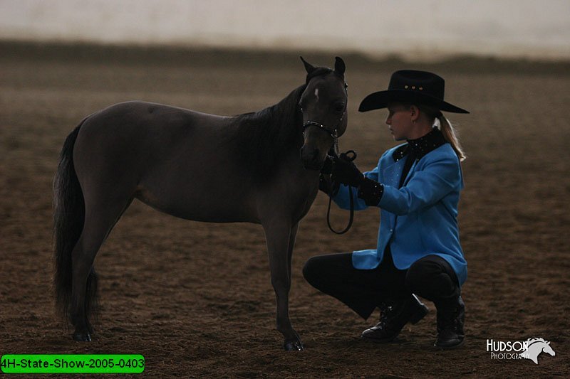 4H-State-Show-2005-0403.jpg