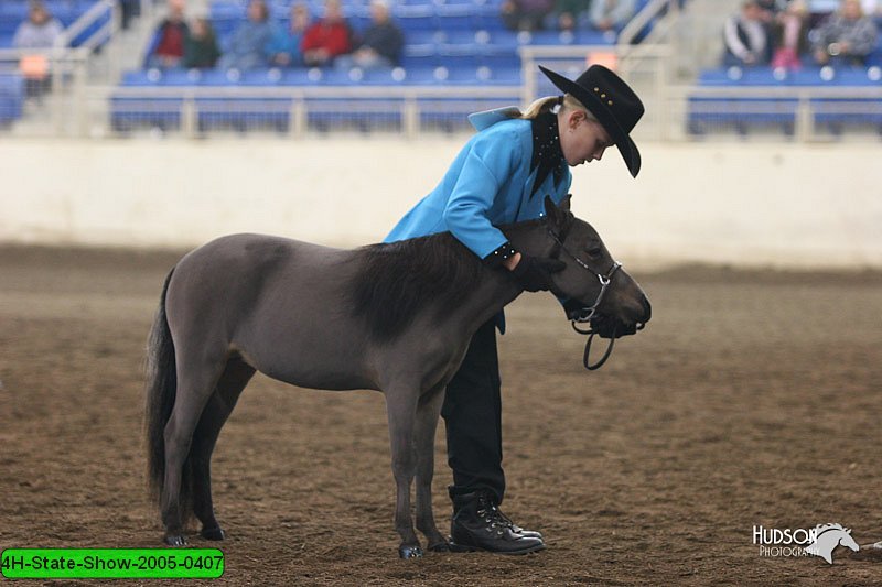 4H-State-Show-2005-0407.jpg