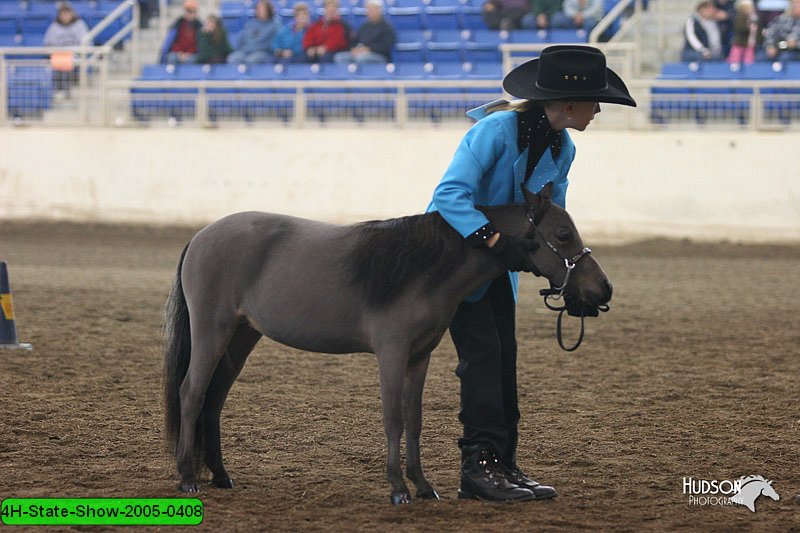 4H-State-Show-2005-0408.jpg
