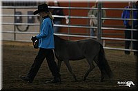 4H-State-Show-2005-0382.jpg