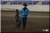 4H-State-Show-2005-0387.jpg