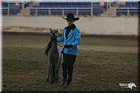 4H-State-Show-2005-0388.jpg