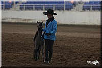 4H-State-Show-2005-0389.jpg