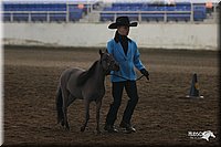 4H-State-Show-2005-0393.jpg