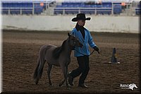 4H-State-Show-2005-0394.jpg