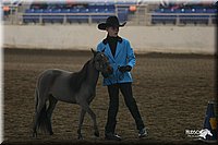 4H-State-Show-2005-0397.jpg