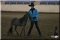 4H-State-Show-2005-0398.jpg