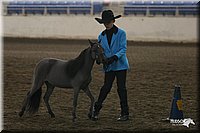 4H-State-Show-2005-0399.jpg